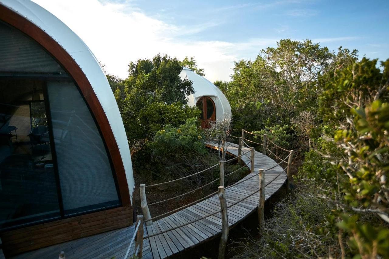 Wild Coast Tented Lodge 얄라 외부 사진