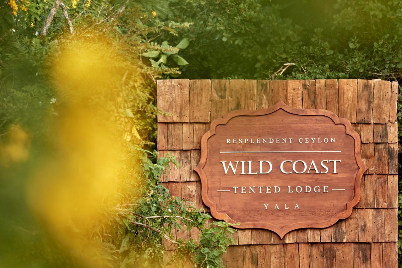 Wild Coast Tented Lodge 얄라 외부 사진